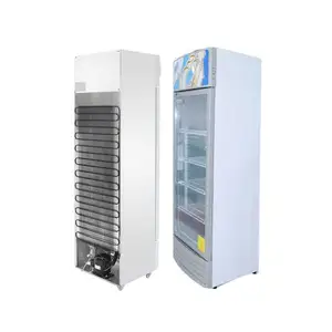 300L réfrigérateur commercial refroidisseur vertical d'affichage de porte en verre vitrine de réfrigérateur fournisseur