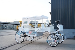 Carro de paseo eléctrico de doble fila, blanco puro, personalizado por fabricantes de bajo coste, con toldo, para bodas - Product Image 4