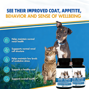 Formule rénale brevetée avancée pour chats et petits chiens – 60 capsules pour soutenir la fonction rénale normale à l'âge avancé - Product Image 5