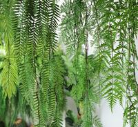 Plantes artificielles de luxe de haute qualité, écologiques, ornements décoratifs, fleurs, plantes, étiquette personnalisée, artificielles