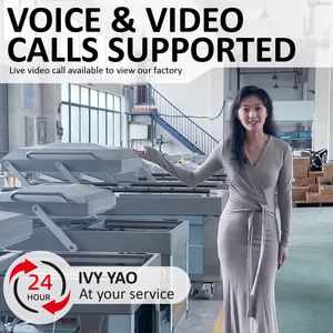 Scelleuse sous vide à chambre unique de petite taille pour aliments, poissons, charcuteries, liquides, usage commercial en supermarché - Product Image 2