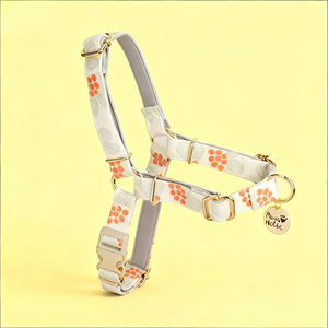 Modern Breathable Eco-Friendly Cotton Anti Pull <b>Harness</b> Lovely Fashion Accessory Personalized Print Pattern Medium Sized <b>Dogs</b> - Product Image 1