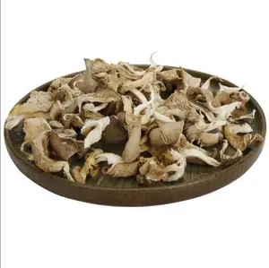 Wholesale High Quality Pleurotus Ostreatus Dried Oyster Mushroom