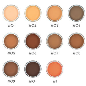 <span class=keywords><strong>Palette</strong></span> <span class=keywords><strong>de</strong></span> <span class=keywords><strong>correcteur</strong></span> <span class=keywords><strong>de</strong></span> fond <span class=keywords><strong>de</strong></span> <span class=keywords><strong>teint</strong></span> OEM imperméable à l'eau Logo personnalisé <span class=keywords><strong>Palette</strong></span> <span class=keywords><strong>de</strong></span> crème <span class=keywords><strong>de</strong></span> maquillage cosmétique végétalien - Product Image 3