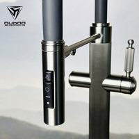 Robinet de cuisine en acier inoxydable avec douchette extractible, design moderne, filtre pour robinet de cuisine