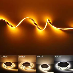 Customized flexible outdoor <b>waterproof</b> 5m Cob RGB <b>light</b>-emitting diode <b>strip</b> <b>light</b> 24v Cob <b>light</b>-emitting diode - Product Image 2