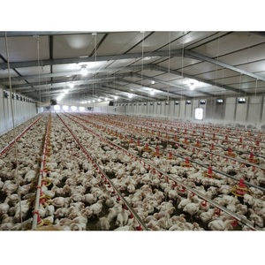อุตสาหกรรม Poulaillers/Maison เทชิ้นส่วนสำเร็จรูป/Ferme De Poulet - Product Image 1