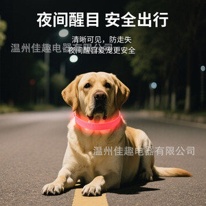 Collar para mascotas, collar luminoso para perros, collar antipérdida para mascotas, collar para perros, collar para gatos, collar de juguete para gatos - Product Image 5