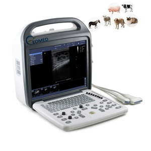 Échographe vétérinaire portable pour animaux de ferme, scanner à ultrasons MSK, prix d'usine CU23vet, le moins cher - Product Image 3