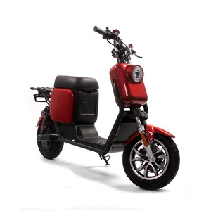 Citycoco-Bicicleta eléctrica para adulto, ciclomotor de 1000w, aprobado por la EEC
