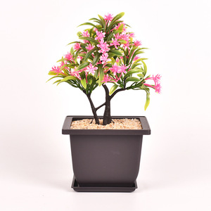 Rectangular Plastic Bonsai / Cactus & <b>Succulent</b> <b>Pot</b> Dark Brown Coffe Color - Product Image 2