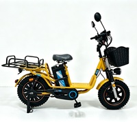 Vélo Électrique à Assistance Électrique avec Panier Avant et Porte-Bagages Arrière, Moteur Brushless 800W, Batterie Lithium 48V, Pneu Neige 16 Pouces pour Adulte