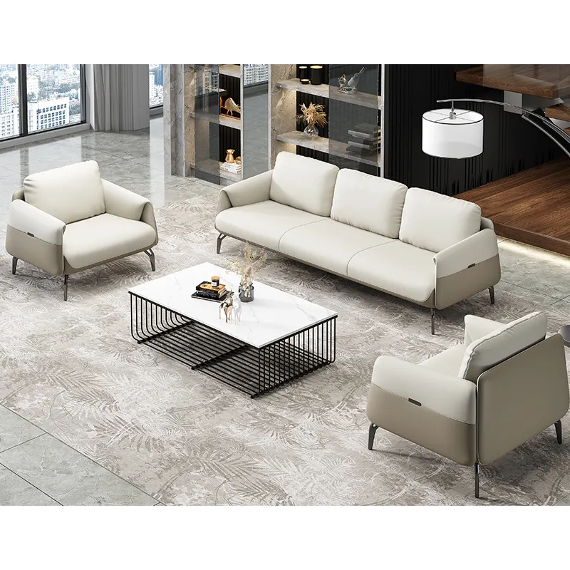 Sagely giá rẻ tiếp nhận Bộ sofa phòng văn phòng giải trí đồ nội thất điều hành Thiết kế phổ biến sofa da
