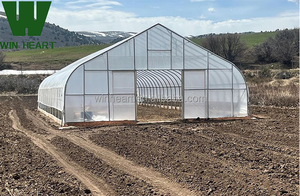 Serre Poly Tunnel à vendre pour les tomates et les cultures de bleuets Serre agricole parfaite - Product Image 4