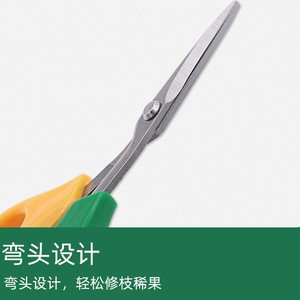 กรรไกรตัดแต่งกิ่งอย่างดี สแตนเลส สีเหลืองเขียว แบบใช้มือขวา อุปกรณ์ทำสวน - Product Image 4