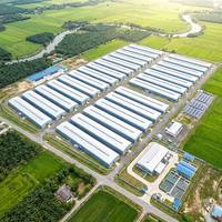Entrepôt agricole en structure légère d'acier sur mesure avec système d'alimentation automatique, galvanisation à chaud, soudage et découpe, garantie 50 ans