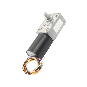 5840-3650 DC Brushless Deceleration Motor Low Speed High Torque <b>Worm</b> Gear Speed Micro Motor - Product Image 5