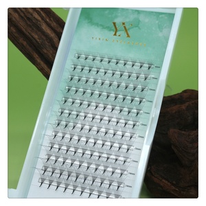 Extensions de cils Logo personnalisé Marque Privée Faits à la main 0.05mm Ventilateurs préfabriqués <span class=keywords><strong>2D</strong></span> 5D 8D 10D 12D 16D 18D 20D - Product Image 1