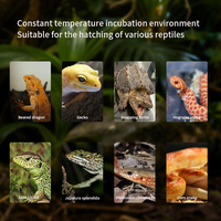 Incubateur pour reptiles multi-capacité 78L, refroidissement et chauffage, sûr pour les œufs de serpent et de tortue