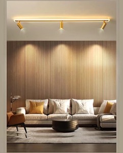 Lumind Led <span class=keywords><strong>Techo</strong></span> Downlight Superficie brillante Instalada Pista dorada Tira <span class=keywords><strong>de</strong></span> LED <span class=keywords><strong>Focos</strong></span> pequeños Iluminación interior Luces <span class=keywords><strong>de</strong></span> riel - Product Image 4