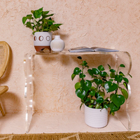 Table Console Acrylique Transparente avec Jambe Ondulée Design Moderne pour Décor À La Maison Plante Affichage Magazine Stockage Gain De Place
