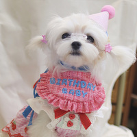 Ensemble chapeau et bavoir de fête d'anniversaire pour chien Bandana chat en polyester classique pour l'été et l'hiver Bichon Pet Supplies Accessories