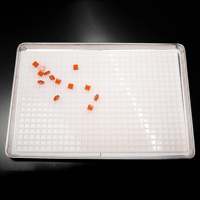 625 cavités carrés moules à bonbons en silicone Mini moule en silicone pour bonbons durs chocolat gommeux caramel ganache glaçons