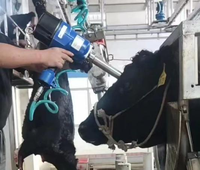 Dispositivo Neumático de Aturdimiento de Ganado No Penetrante con Motor de Acero Inoxidable de Alta Productividad 1000bp/h para Sacrificio de Ganado