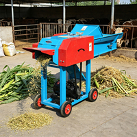 Broyeur de paille horizontal robuste à double usage (sec et humide) avec alimentation automatique pour la préparation de fourrage pour le bétail