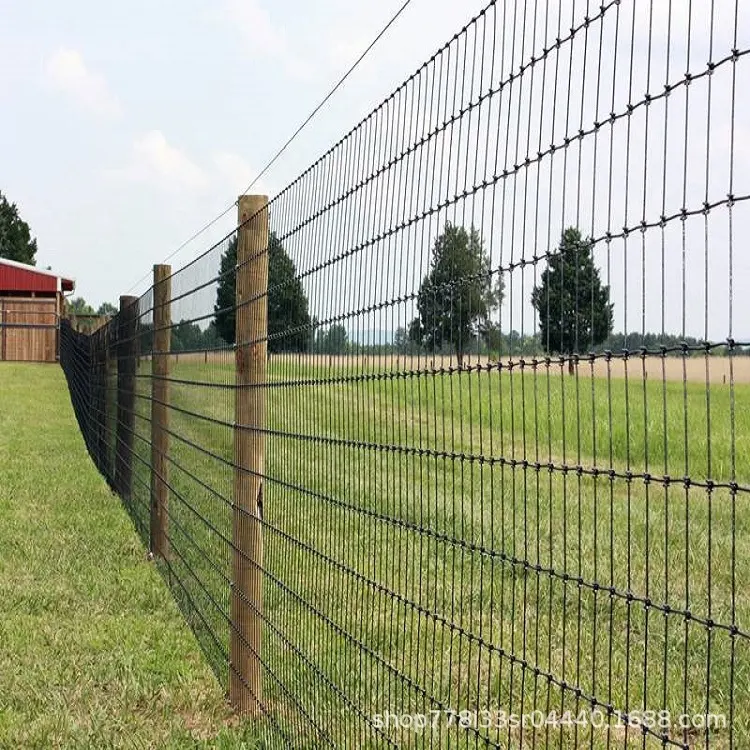 Cheap Field Fence Farming Galvanized Hinge Joint Fence For Grassland Protection