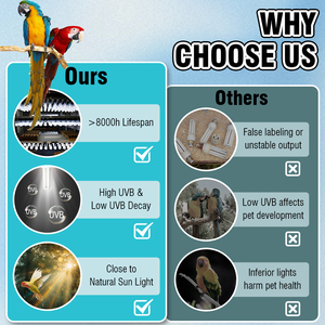 Система для птиц, товары для попугаев, лампа-добавка для здоровья птиц, 2.4% уфв, изоляция, нагрев, полный спектр, кальциевая добавка, анти - Product Image 3