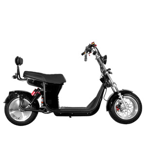 Bici Elettrica 60V 1000W Pronta all'Avventura, <span class=keywords><strong>Motore</strong></span> Anteriore, Rimozione Batteria Senza Attrezzi, Pneumatici Robusti, Doppio Ammortizzatore, 50km/h - Product Image 2