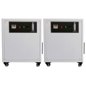 เครื่องสร้างออกซิเจน5ลิตรสำหรับถังปลา,เครื่องผลิตออกซิเจน De Oxigeno De 15ลิตร10ลิตร - Product Image 1