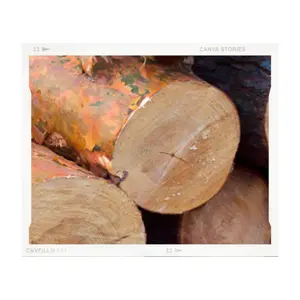 Teak wood Hot Wholesale made in Viet Nam Custom 100% Wholesale raw Pine Wood Logs Best Price High Quality round logs for sale