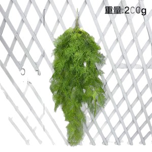 Bouquet mural de feuilles de fougère artificielles en forme d'asperges, 100cm-200cm, décoration végétale verte pour la maison, lianes givrées - Product Image 5