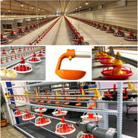 Línea de Bebederos de Tetina para Pollos, Sistema Automático de Alimentación para Aves de Corral, Comedero Tipo Bandeja para Gallineros