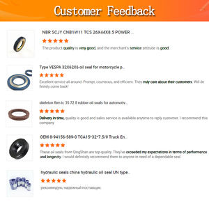 Retén hidráulico de <span class=keywords><strong>fluorogel</strong></span> para aplicación automotriz, resistente al aceite, de extremo abierto, tipo esqueleto dividido - Product Image 5