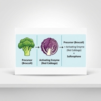 Poudre de Glucoraphanine Naturellement Stable Activée par la Myrosinase - Extrait de Graines de Brocoli Mélangé à de la Poudre de Chou Rouge Riche en Myrosinase
