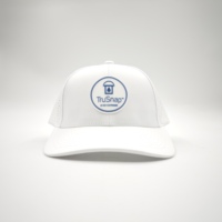 Gorra de Golf Deportiva Personalizada al por Mayor, Impermeable, de 6 Paneles, con Visera Curva, Bordado a Mano, Corte Láser, Transpirable, Ajustable, Unisex