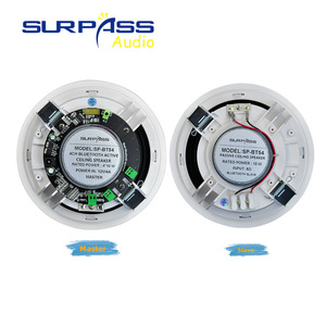 Bt54 Vượt Qua Hoạt Động <span class=keywords><strong>Bluetooth</strong></span> Trần Loa Treo Tường Âm Thanh Loa Với 4*10W Tại 8Ohm Đầu Ra - Product Image 4