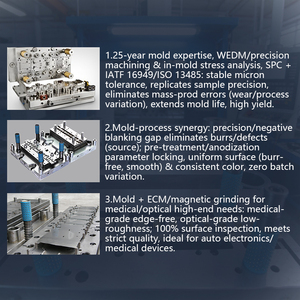 Fabricante de troqueles especializado en estampado de metal troquel de acero inoxidable molde de estampado troquel de punzonado de chapa - Product Image 5