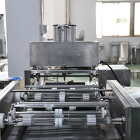 Machine à crêpes française automatique