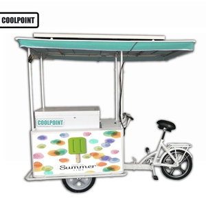 Triciclo Solar para Helados con Panel Solar y Refrigerador, 12V/24V CC, OEM ODM, para Pasajeros y Carga, con Certificación EEC DOT - Product Image 2