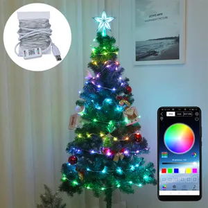 Twinkle Smart Phone APP 50 100 LED Fairy Dynamic Point Control RGB 210 Modes Soft String Lights for Party Christmas Wedding