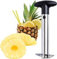 Roestvrijstalen ananasschiller, -ontpitter, -snijder, multifunctionele keukenhulp voor fruit