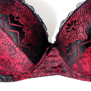 Conjunto de sujetador y bragas de encaje con estampado Floral, conjunto de sujetador de lencería Sexy para mujer, conjunto de ropa interior íntima para mujer, <span class=keywords><strong>Copa</strong></span> <span class=keywords><strong>D</strong></span> 85-110, 2017 - Product Image 6