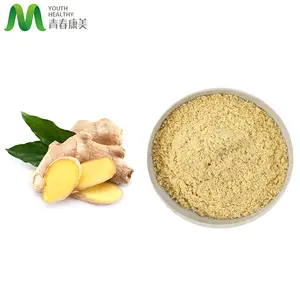 Manufacturer Supply Dry Ginger Powder