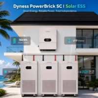 Batterie Powerbrick SC 300Ah LifePO4 51,2V, batterie LifePO4 314Ah 16kWh, système ESS domestique 800kWh max, BMS intelligent en parallèle compatible avec Solis