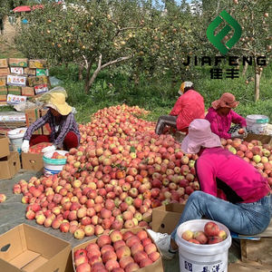 Mele Fuji Biologiche Fresche di Qualità Superiore, Grado A dello Shandong, Durata di Conservazione 6 Mesi, Prezzo di Mercato, Qualità Premium per Vendita all'Ingrosso - Product Image 5