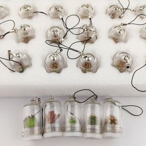 <span class=keywords><strong>Porte</strong></span>-clés miniature de cactus bébé imité, promotionnel, amusant, plante vivante, 2023 - Product Image 5
